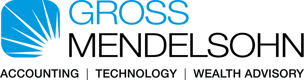 Gross Mendelsohn's Technology Solutions Group