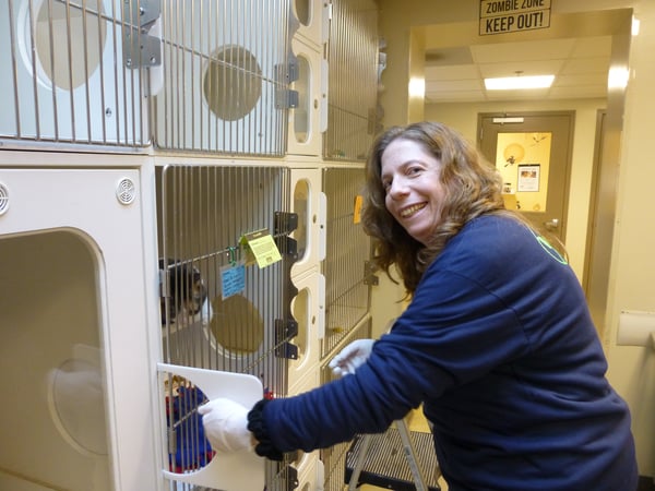 Theresa Davidson volunteers at Maryland SPCA